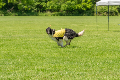 20240526-untitled-664