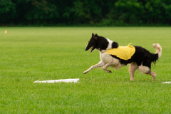 20240526-MemDayWknd-26