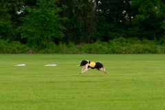 20240526-MemDayWknd-28