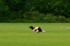 20240526-MemDayWknd-29