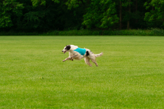 20240526-MemDayWknd-37