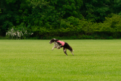 20240526-MemDayWknd-46