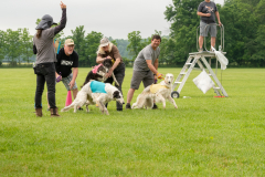 20240526-untitled-101