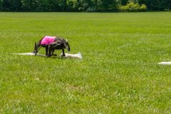 20240526-untitled-870
