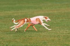 24UCBSCDeansBDayBash035