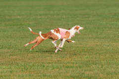 24UCBSCDeansBDayBash039