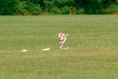 24UCBSCDeansBDayBash056