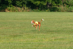 24UCBSCDeansBDayBash058