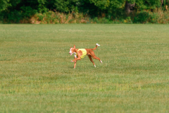 24UCBSCDeansBDayBash059