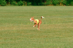 24UCBSCDeansBDayBash063