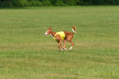 24UCBSCDeansBDayBash069