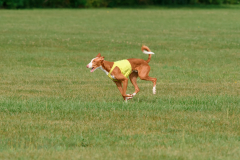 24UCBSCDeansBDayBash072