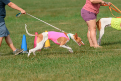 24UCBSCDeansBDayBash075