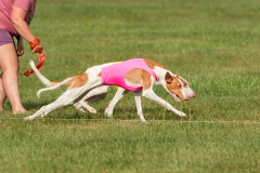 24UCBSCDeansBDayBash079