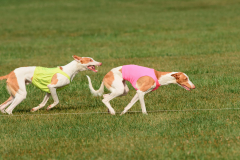 24UCBSCDeansBDayBash082