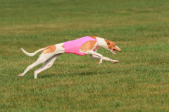 24UCBSCDeansBDayBash083