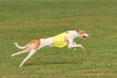 24UCBSCDeansBDayBash086