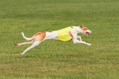 24UCBSCDeansBDayBash088