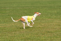 24UCBSCDeansBDayBash089