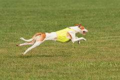 24UCBSCDeansBDayBash090