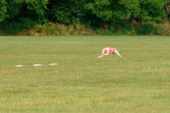 24UCBSCDeansBDayBash091