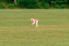 24UCBSCDeansBDayBash092