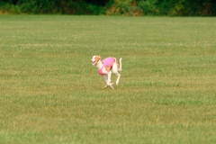 24UCBSCDeansBDayBash093