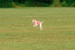 24UCBSCDeansBDayBash094