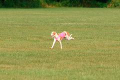 24UCBSCDeansBDayBash095