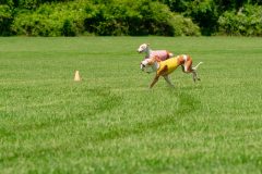 20240526-MemDayWknd-522