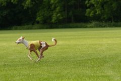 20240526-MemDayWknd-105-2