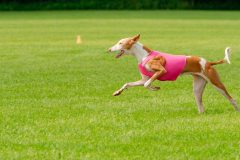 20240526-MemDayWknd-97