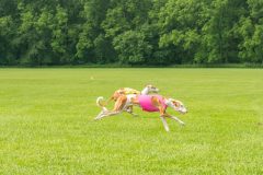 20240526-untitled-279