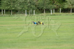 20260919-GVFRRC-AKC-LC-36