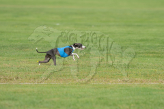 20260919-GVFRRC-AKC-LC-39