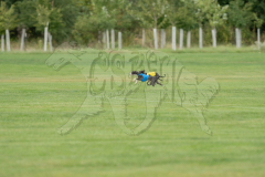 20260919-GVFRRC-AKC-LC-46