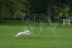 20260920-GVFRRC-AKC-LC-17