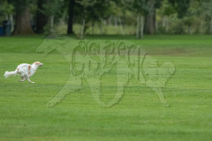 20260920-GVFRRC-AKC-LC-18