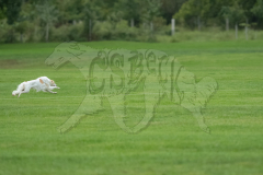 20260920-GVFRRC-AKC-LC-19