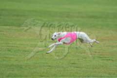 20260920-GVFRRC-AKC-LC