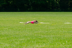 20240526-MemDayWknd-733
