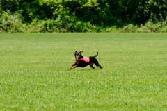 20240526-MemDayWknd-887