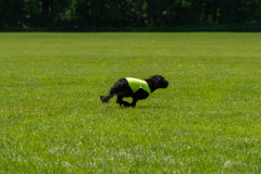 20240526-untitled-1114