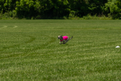 20240526-untitled-998