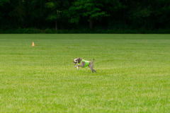 20240526-MemDayWknd-184