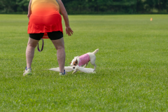 20240526-untitled-419