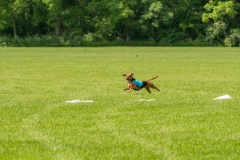 20240526-untitled-460