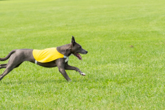 20240526-untitled-468