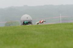 20250614-NOTRA-259