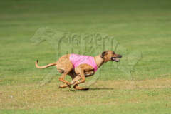 20260919-GVFRRC-AKC-LC-110